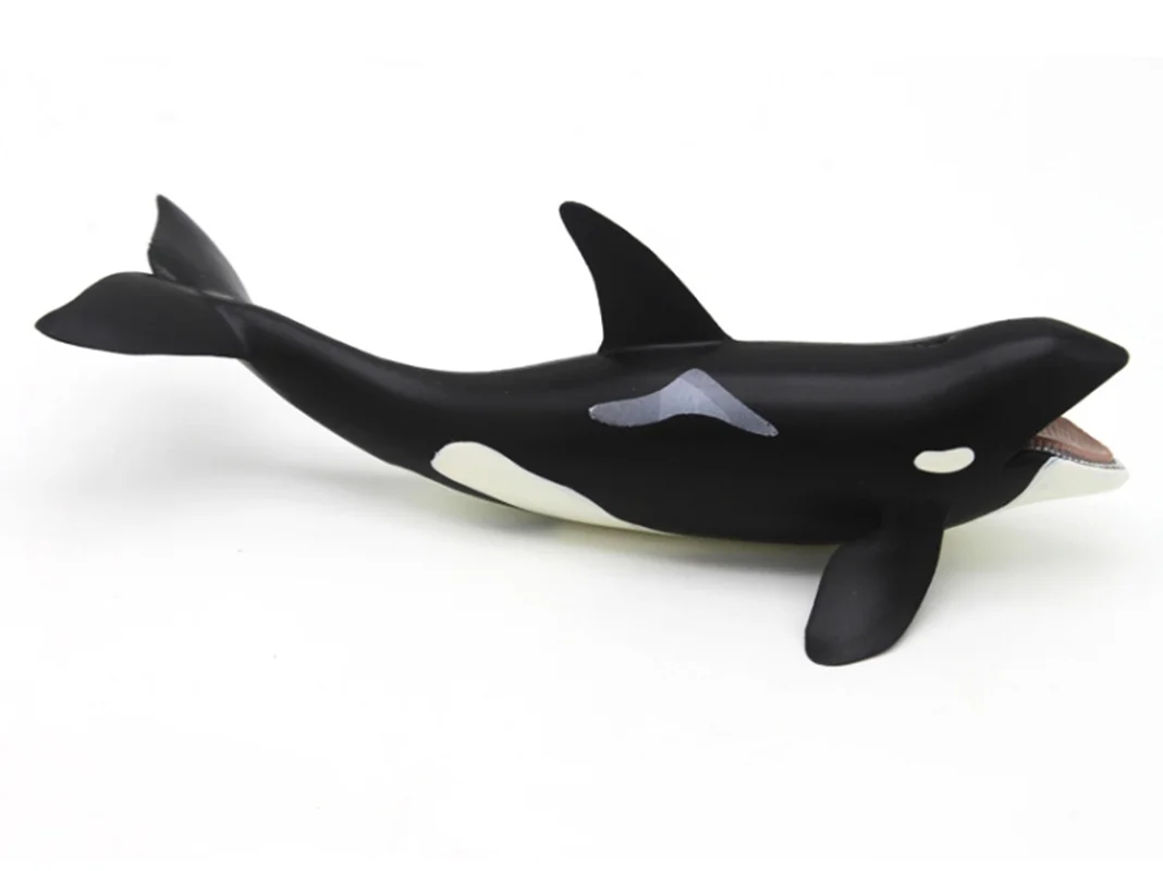 خرید فیگور موفان توی حیوان دریایی فیگور «نهنگ قاتل بزرگ یا نهنگ کشنده بزرگ» فیگور مدل واقعی حیوانات، مجسمه حیوان، مدل شبیه سازی شده حیوان Mofun Toy Large Killer Whale Orca Simulation Model Animals figure M6004