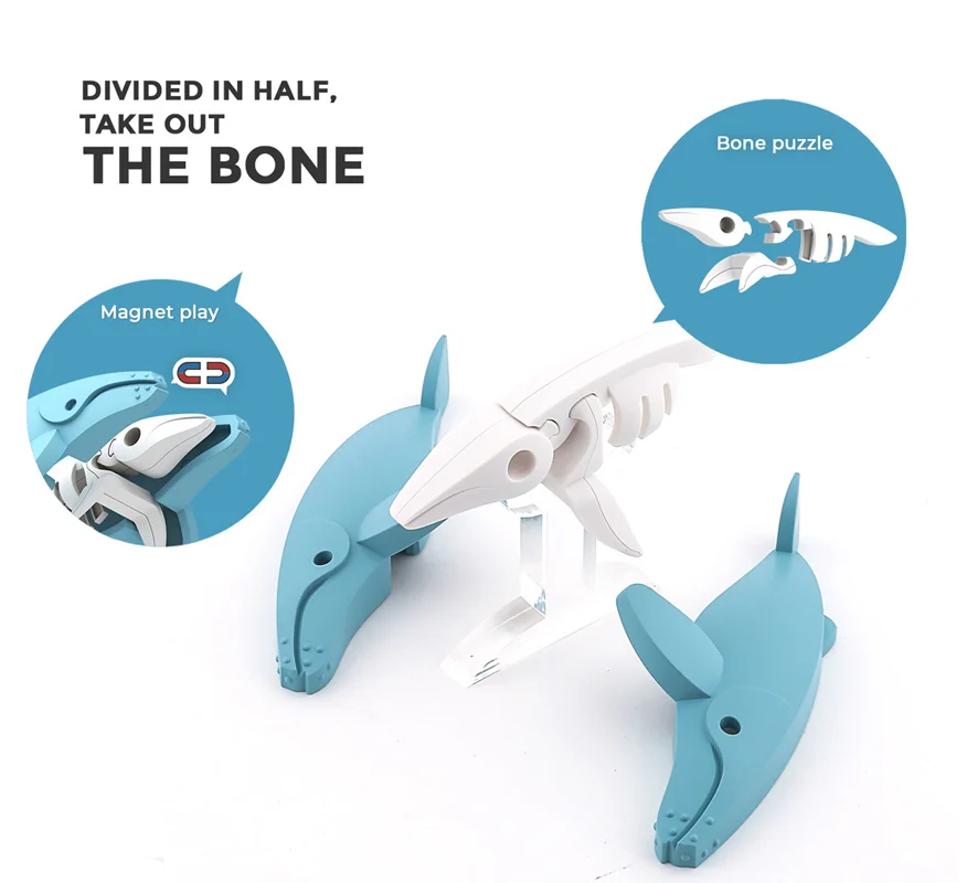 خرید بازی فکری ساختنی مغناطیسی وال، نهنگ، حیوان دریایی، ماهی 3 بعدی مغناطیسی «وال همپبک: نهنگ» Halftoys 3D Bone Puzzle Magnet Play Ocean Friends Hampback whale HOS004
