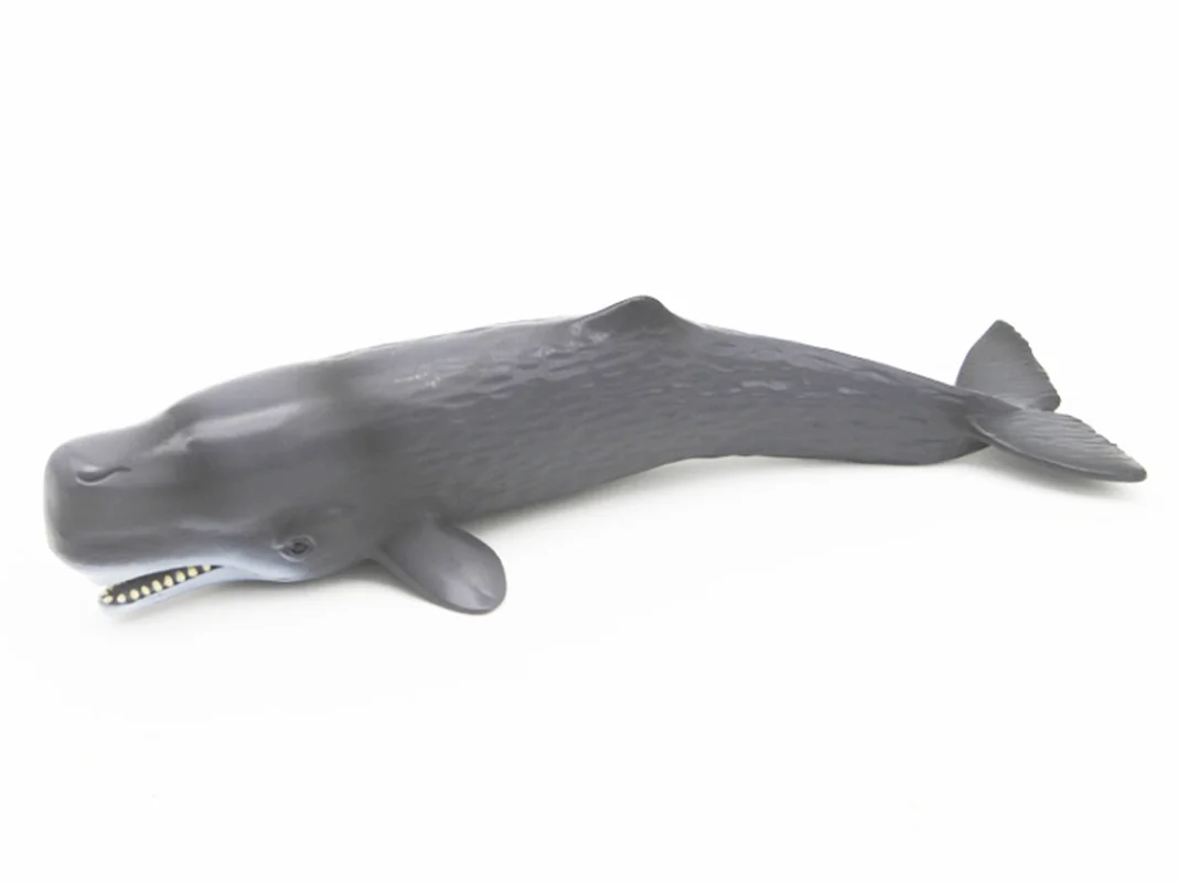 خرید فیگور موفان توی حیوان دریایی فیگور «نهنگ عنبر یا وال اسپرم» فیگور مدل واقعی حیوانات، مجسمه حیوان، مدل شبیه سازی شده حیوان Mofun Toy Amber whale or Sperm Whale Simulation Model Animals figure M6003