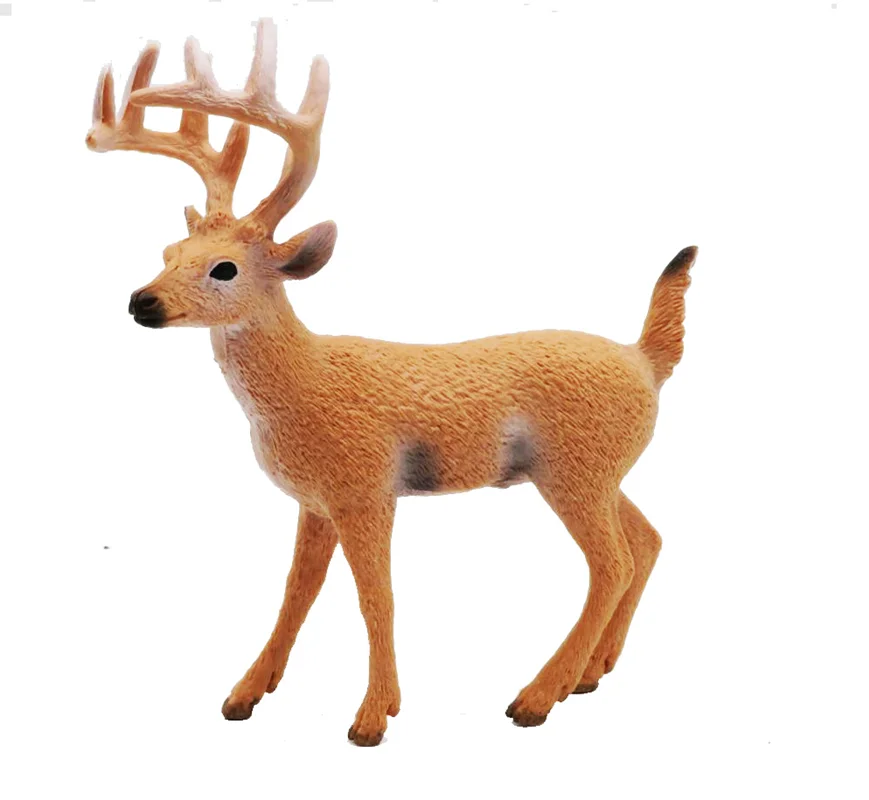 خرید فیگور حیوان وحشی فیگور «آهو شاخ دار بدون خال» فیگور مدل واقعی حیوانات، مجسمه حیوان، مدل شبیه سازی شده حیوان Antlered Deer Simulation Model Wild Animals Figure
