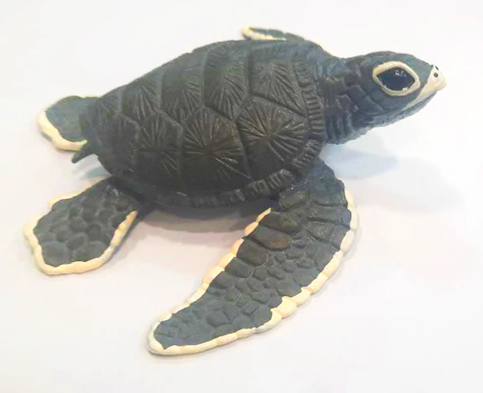 خرید فیگور موفان توی حیوان دریایی فیگور «بچه لاک پشت» فیگور مدل واقعی حیوانات، مجسمه حیوان، مدل شبیه سازی شده حیوان Mofun Toy Baby turtle Simulation Model Animals figure