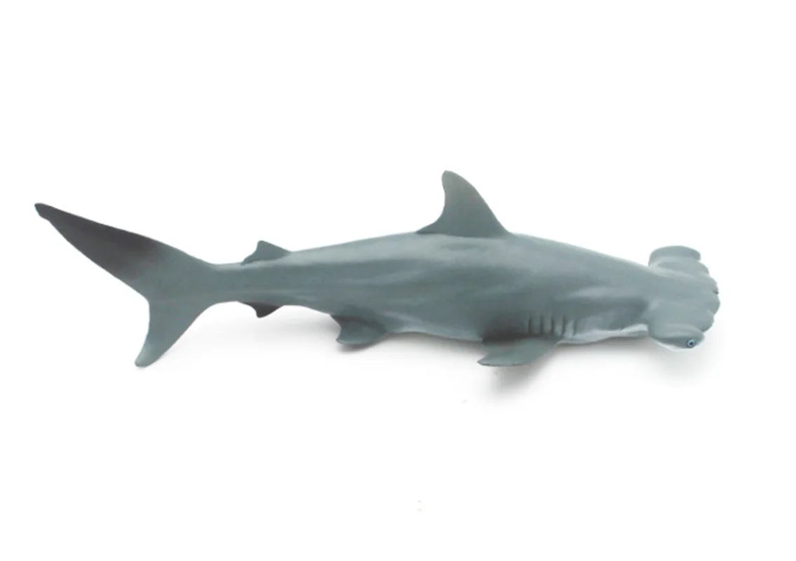 خرید فیگور موفان توی حیوان دریایی  فیگور «کوسه سرچکشی» فیگور مدل واقعی حیوانات، مجسمه حیوان، مدل شبیه سازی شده حیوان Mofun Toy Hammerhead shark Simulation Model Animals figure M6017