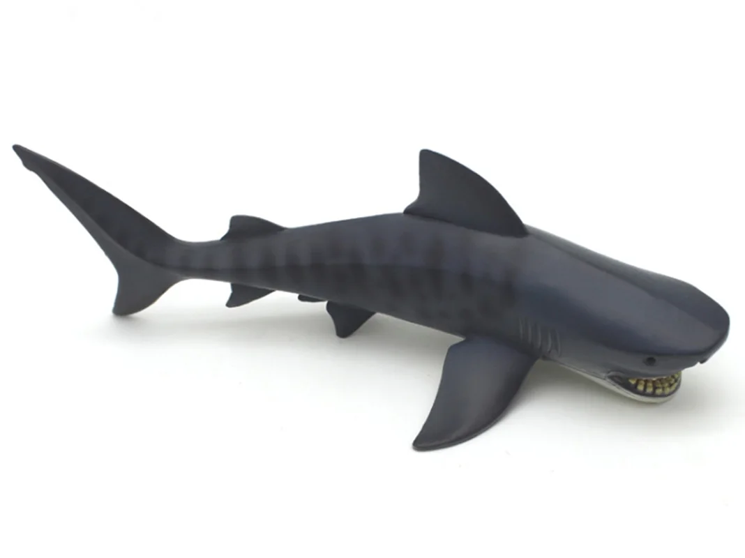 رید فیگور موفان توی حیوان دریایی  فیگور «کوسه ببری خالدار» فیگور مدل واقعی حیوانات، مجسمه حیوان، مدل شبیه سازی شده حیوان Mofun Toy Tiger Shark Simulation Model Animals figure M6006