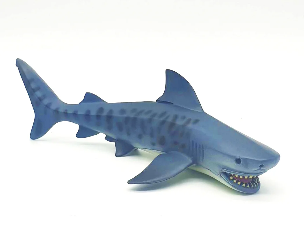 رید فیگور موفان توی حیوان دریایی  فیگور «کوسه ببری خالدار» فیگور مدل واقعی حیوانات، مجسمه حیوان، مدل شبیه سازی شده حیوان Mofun Toy Tiger Shark Simulation Model Animals figure M6006
