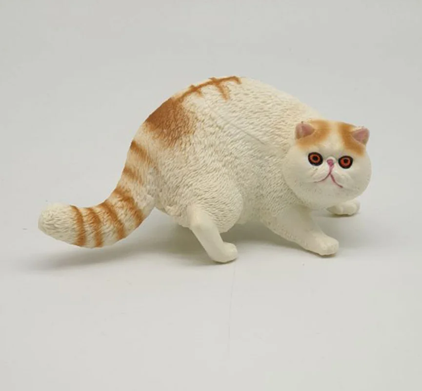 خرید فیگور حیوان وحشی فیگور «گربه نژاد اگزوتیک مو کوتاه (شورت هیر)» فیگور مدل واقعی حیوانات، مجسمه حیوان، مدل شبیه سازی شده حیوان The Exotic Shorthair Cat Simulation Model Animals Figure PL127-1548