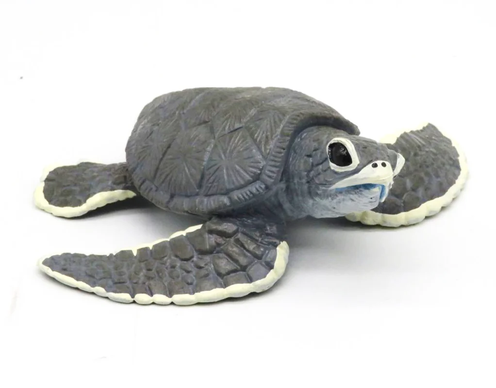 خرید فیگور موفان توی حیوان دریایی فیگور «بچه لاک پشت» فیگور مدل واقعی حیوانات، مجسمه حیوان، مدل شبیه سازی شده حیوان Mofun Toy Baby turtle Simulation Model Animals figure