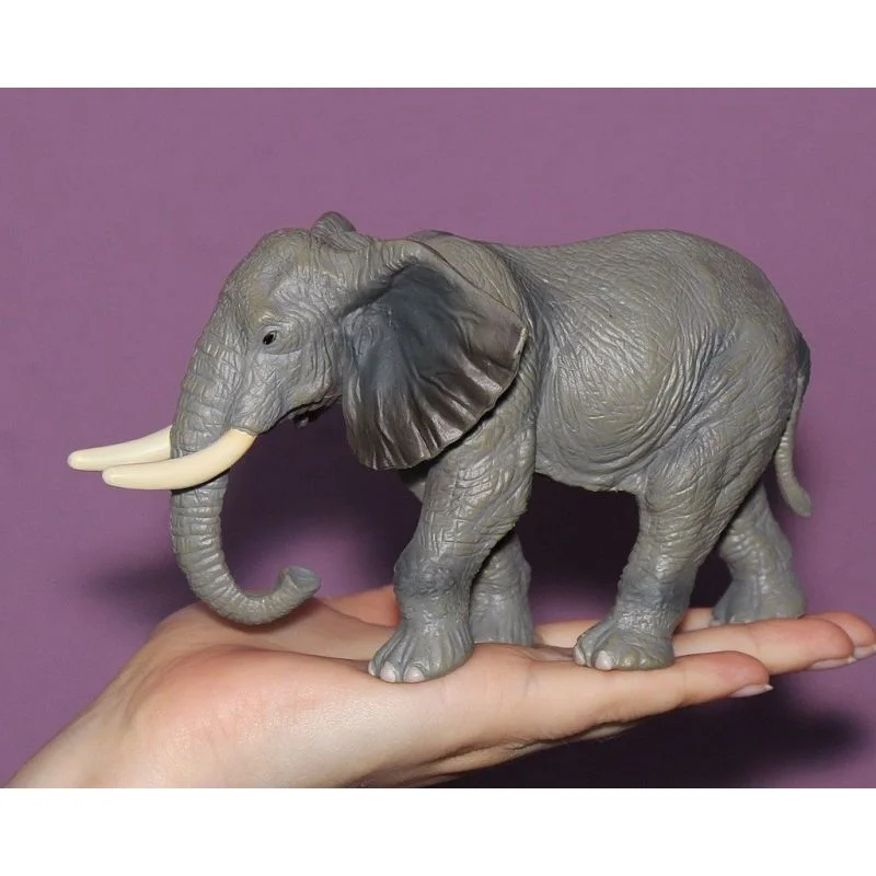 خرید فیگور حیوان وحشی «فیل آفریقایی» CollectA Wild Animals African Elephant figure 88025