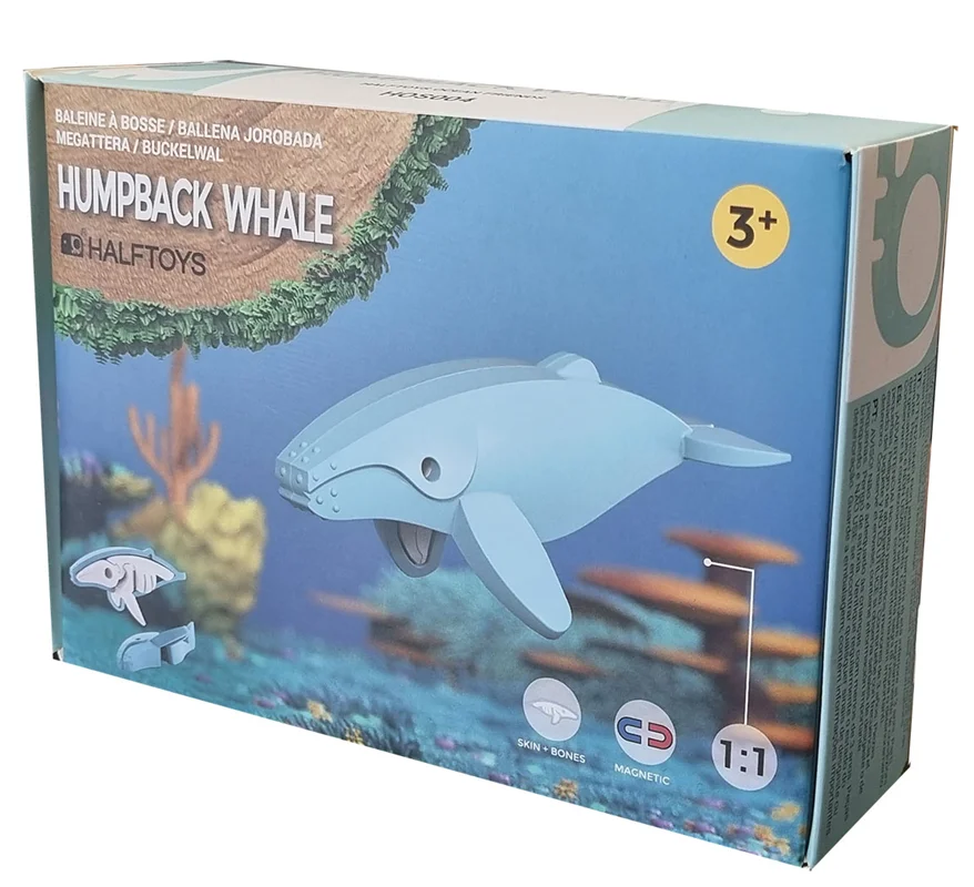 خرید بازی فکری ساختنی مغناطیسی وال، نهنگ، حیوان دریایی، ماهی 3 بعدی مغناطیسی «وال همپبک: نهنگ» Halftoys 3D Bone Puzzle Magnet Play Ocean Friends Hampback whale HOS004