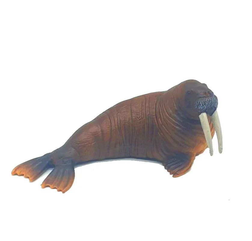 خرید فیگور موفان توی حیوان دریایی فیگور «گراز دریایی» فیگور مدل واقعی حیوانات، مجسمه حیوان، مدل شبیه سازی شده حیوان Mofun Toy walrus Simulation Model Animals figure M6014