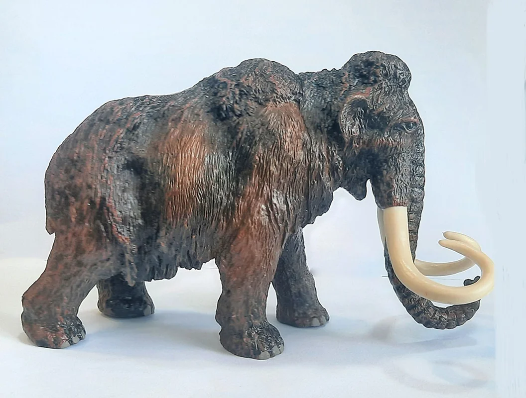 خرید فیگور حیوان  فیگور «ماموت» فیگور مدل واقعی حیوانات، مجسمه حیوان، مدل شبیه سازی شده حیوان Animal Paradise Mammuthus Simulation Model Animals Figure PL127-557