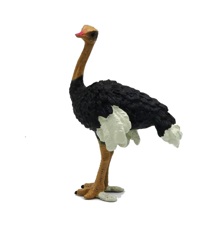خرید فیگور حیوان فیگور «شتر مرغ» فیگور مدل واقعی حیوانات، مجسمه حیوان، مدل شبیه سازی شده حیوان Ostrich Simulation Model Animals figure