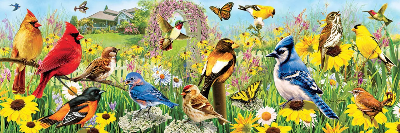 خرید پازل یوروگرافیک 1000 تکه پاناروما «باغ پرندگان» Eurographics Puzzle Garden Birds 1000 pieces Panorama 6010-5338