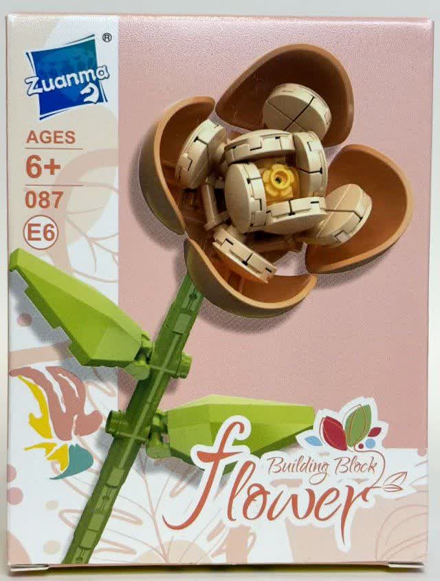 لگو گل ریگر بگونیا Rieger Begonias Flower 087E6