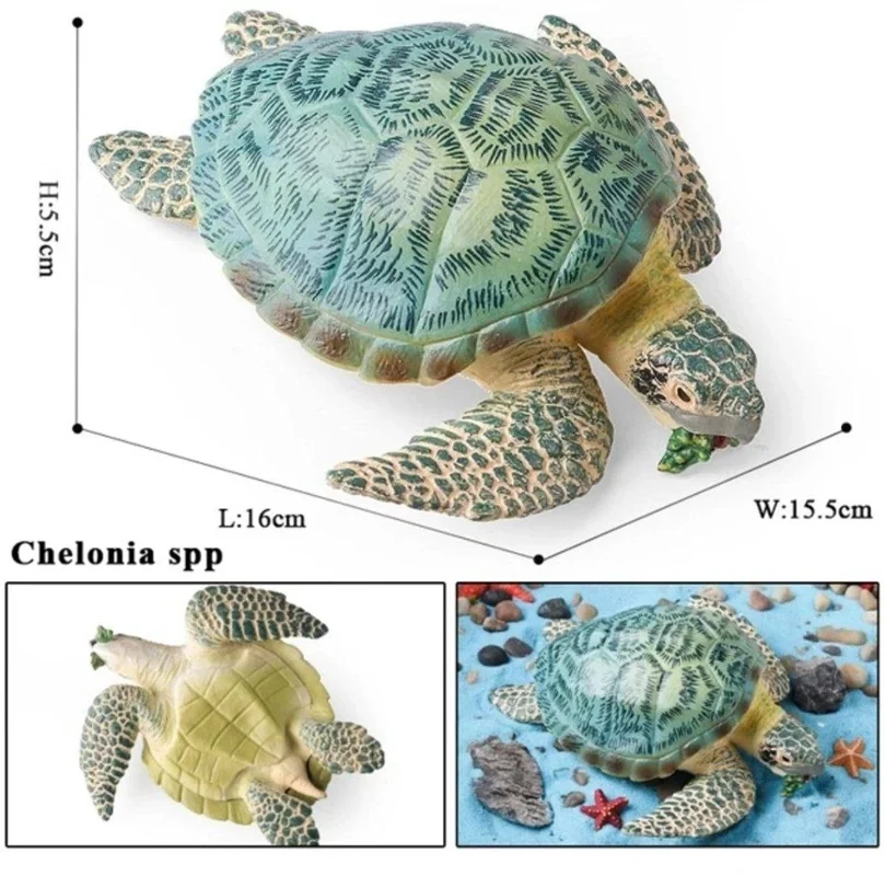 فیگور لاک پشت اقیانوسی Leatherback Tortoise Turtle نمای سهبعدی و زوایا و حالات مختلف