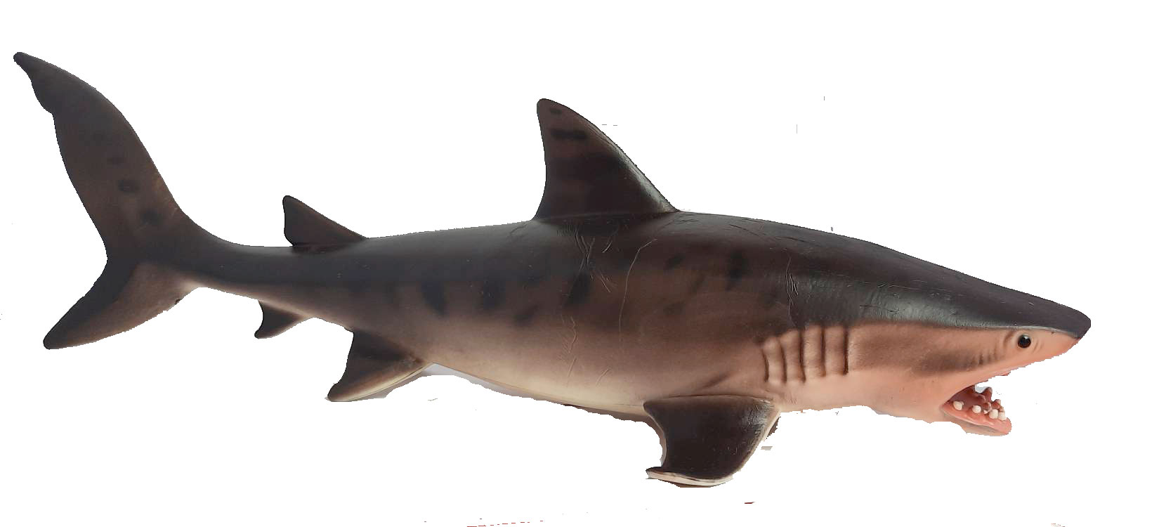 فیگور کوسه ببری Tiger Shark PL127-1102