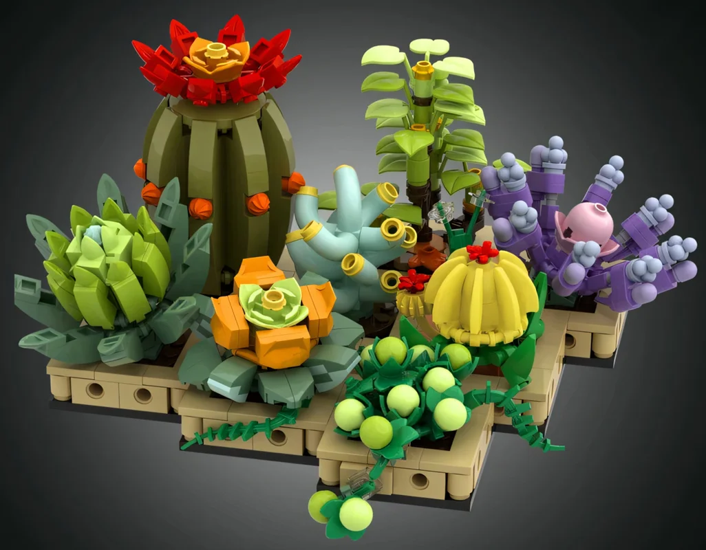 تصویر از تمام کاکتوسهای ساخته شده در کنار هم