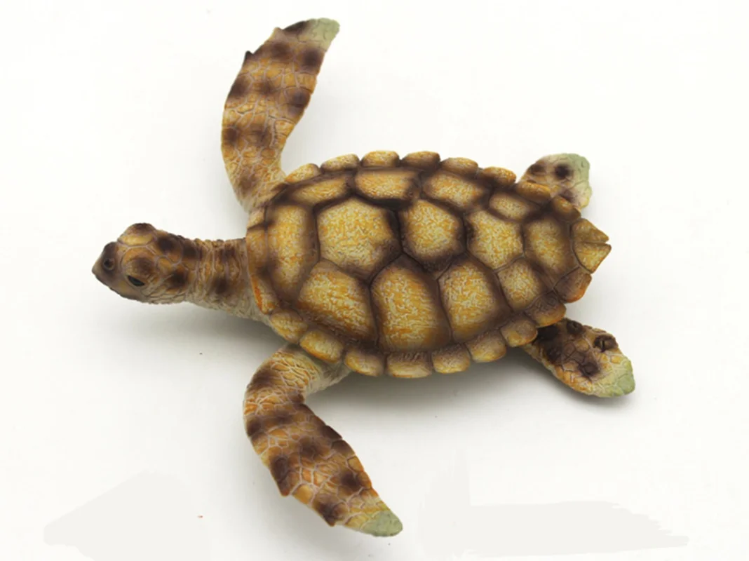 خرید فیگور موفان توی حیوان دریایی فیگور «لاک پشت بزرگ» فیگور مدل واقعی حیوانات، مجسمه حیوان، مدل شبیه سازی شده حیوان Mofun Toy Big Turtle Simulation Model Animals figure M6015