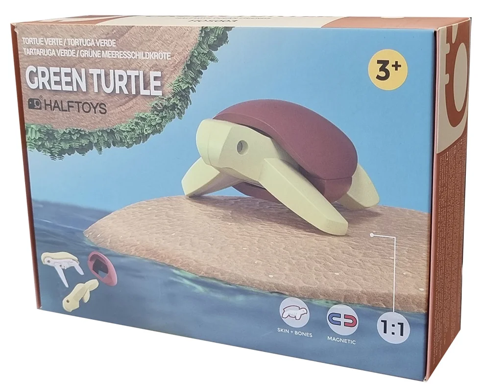 خرید بازی فکری ساختنی آبزی، حیوان دریایی، ماهی 3 بعدی مغناطیسی «گرین ترتل: لاک پشت سبز» Halftoys 3D Bone Puzzle Magnet Play Ocean Friends Green Turtle HOS003