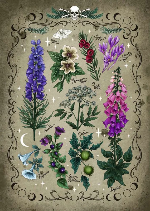 تصویر کامل پازل رونزبرگر گیاهان سمی 1000 تکه