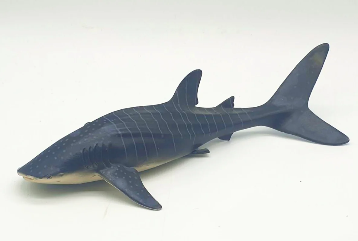 خرید فیگور موفان توی حیوان دریایی  فیگور کوسه نهنگ خالدار راه راه» فیگور مدل واقعی حیوانات، مجسمه حیوان، مدل شبیه سازی شده حیوان  Mofun Toy Whale Shark Simulation Model Animals figure M6043
