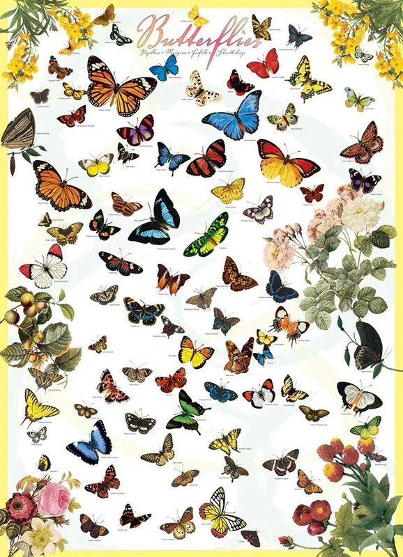 پازل یوروگرافیک 1000 تکه «پروانه ها» Eurographics Puzzle Butterflies 1000 pieces 6000-0077