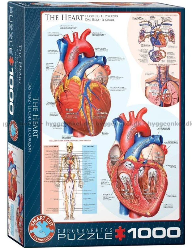 پازل یوروگرافیک 1000 تکه «قلب» Eurographics Puzzle The Heart 1000 pieces 6000-0257