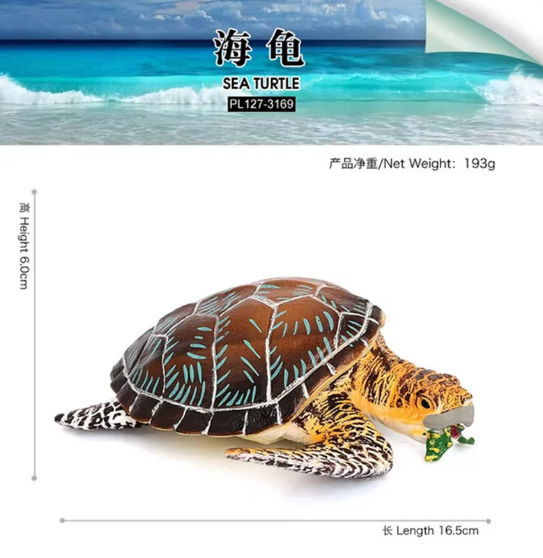 فیگور لاک پشت دریایی کولکولو نمای جلویی Colcolo Sea Turtle Figure