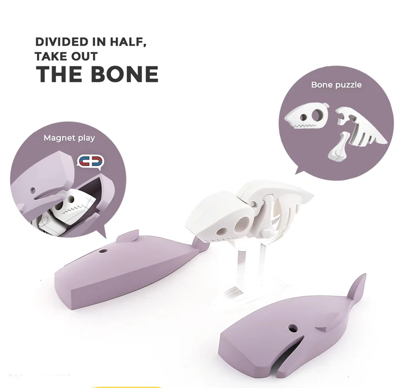 خرید بازی فکری ساختنی مغناطیسی وال، نهنگ، حیوان دریایی، ماهی 3 بعدی مغناطیسی «وال کاچالوت: نهنگ» Halftoys Magnetic 3D Bone Puzzle Magnet Play Ocean Friends Cachalot whale HOS005