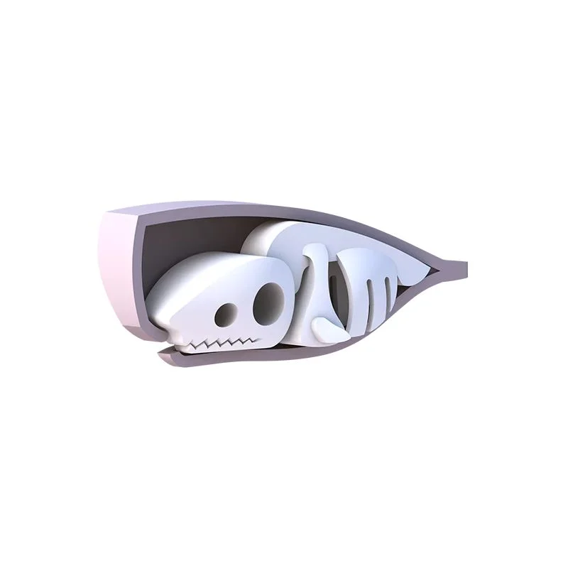 خرید بازی فکری ساختنی مغناطیسی وال، نهنگ، حیوان دریایی، ماهی 3 بعدی مغناطیسی «وال کاچالوت: نهنگ» Halftoys Magnetic 3D Bone Puzzle Magnet Play Ocean Friends Cachalot whale HOS005