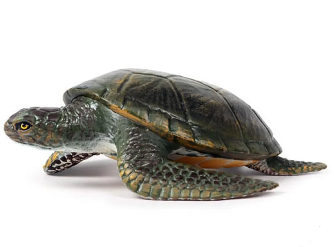 فیگور لاک پشت دریایی Garden Sea Turtle ابعاد واقعی (7×20×16 سانتیمتر)