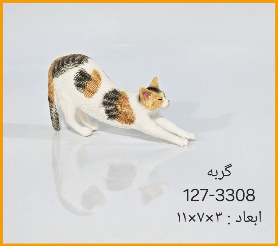 فیگور گربه کش و قوس سفید با لکههای قهوهای نمای نزدیک