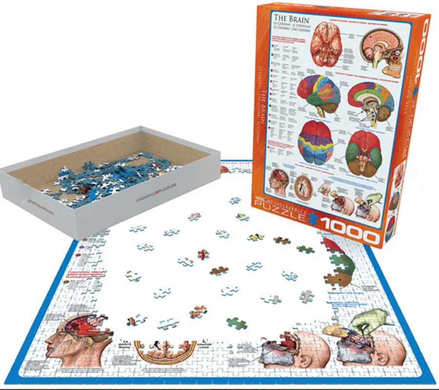 پازل یوروگرافیک 1000 تکه «مغز» Eurographics Puzzle The Brain 1000 pieces 6000-0256