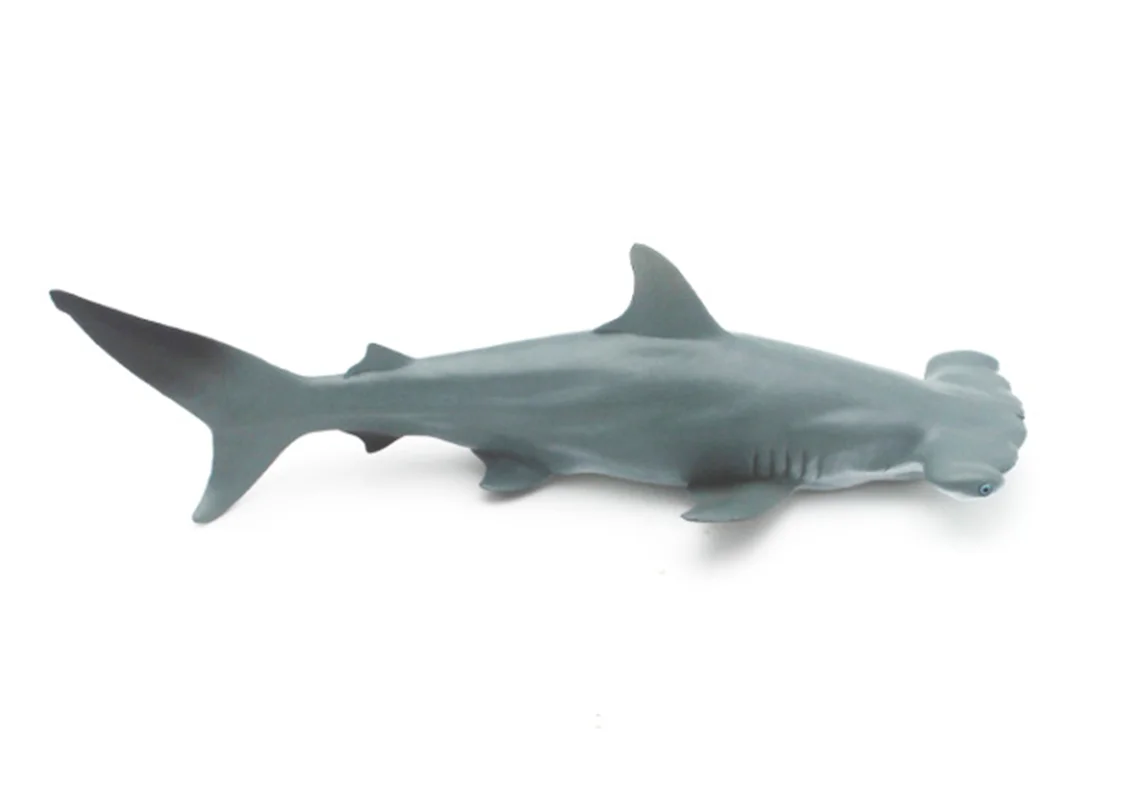 کوسه سرچکشی  Hammerhead shark  figure M6017