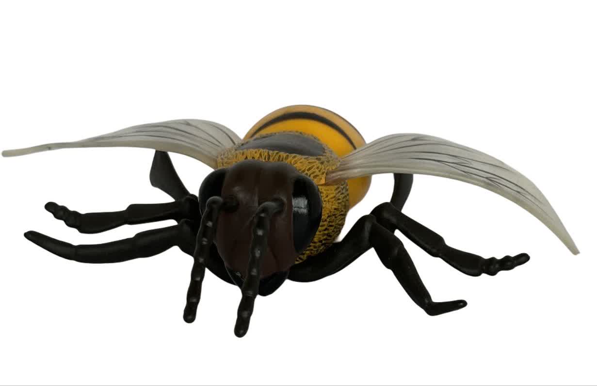 فیگور زنبور عسل Honey Bee
