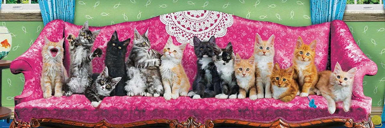 پازل یوروگرافیک 1000 تکه پاناروما «کاناپه بچه گربه» Eurographics Puzzle Kitty Cat Couch 1000 pieces Panorama 6010-5629