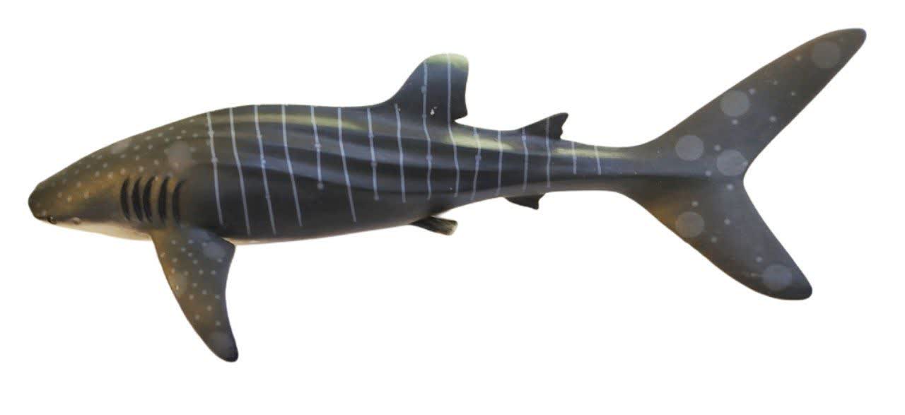 فیگور کوسه  نهنگ ببری Tiger Shark