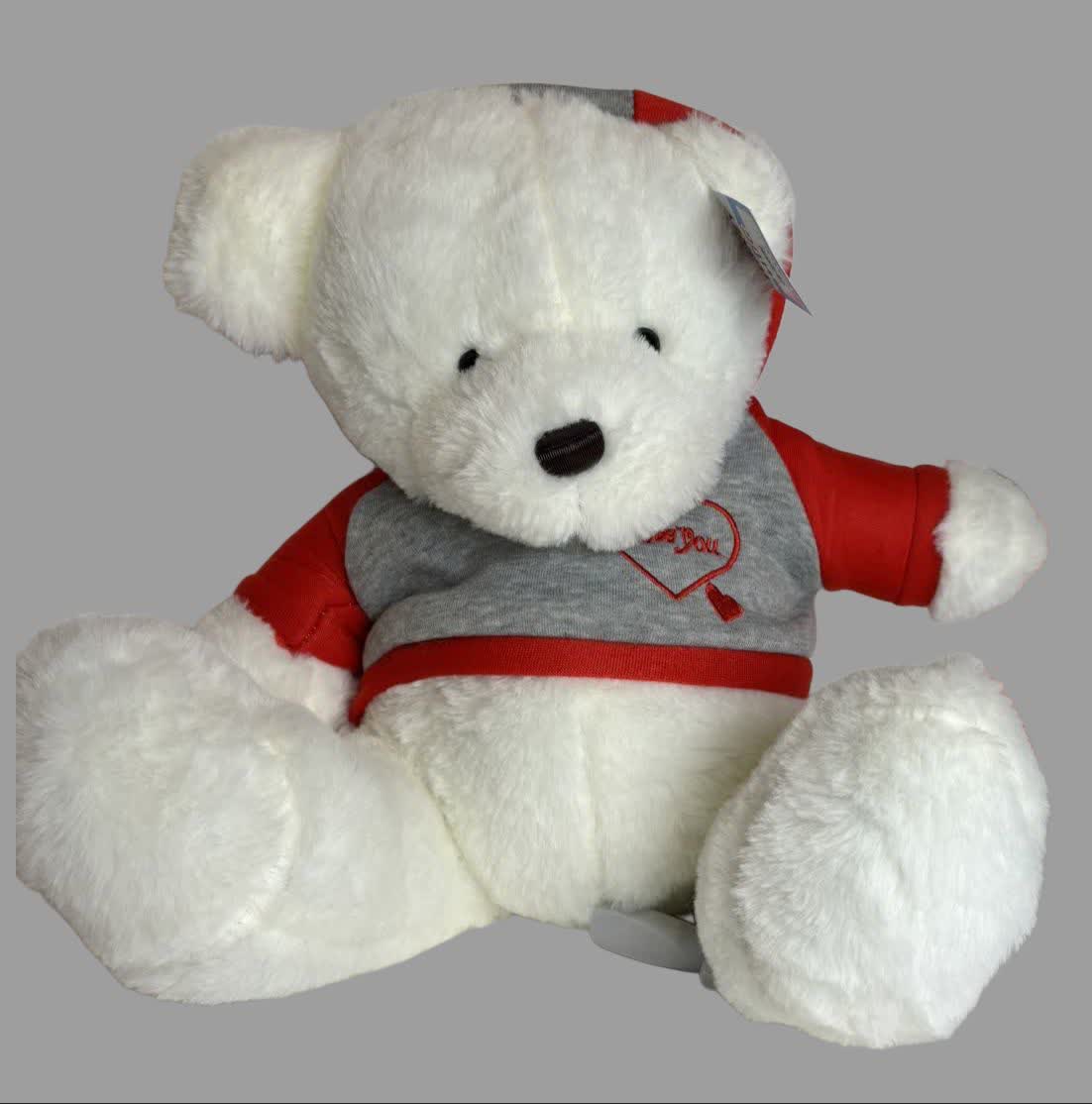 عروسک پولیشی خرس لباس دار Hoodie Wearing Bear