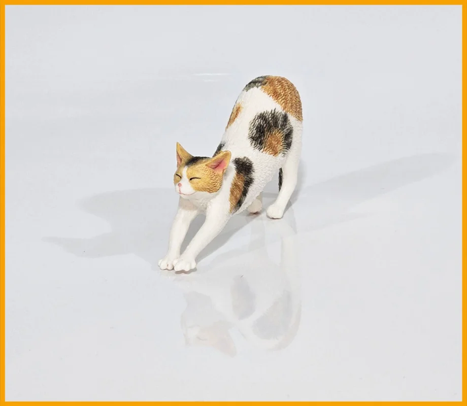 فیگور گربه کش و قوس سفید با لکههای قهوهای نمای جلو