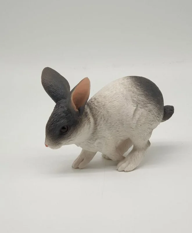 خرید فیگور حیوان «خرگوش» فیگور مدل واقعی حیوانات، مجسمه حیوان، مدل شبیه سازی شده حیوان Animal Paradise Rabbit Simulation Model Animals Figure PL127-680