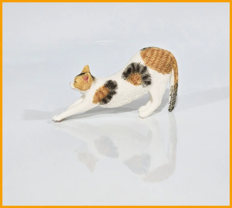 فیگور گربه کش و قوس سفید با لکههای قهوهای نمای جانبی