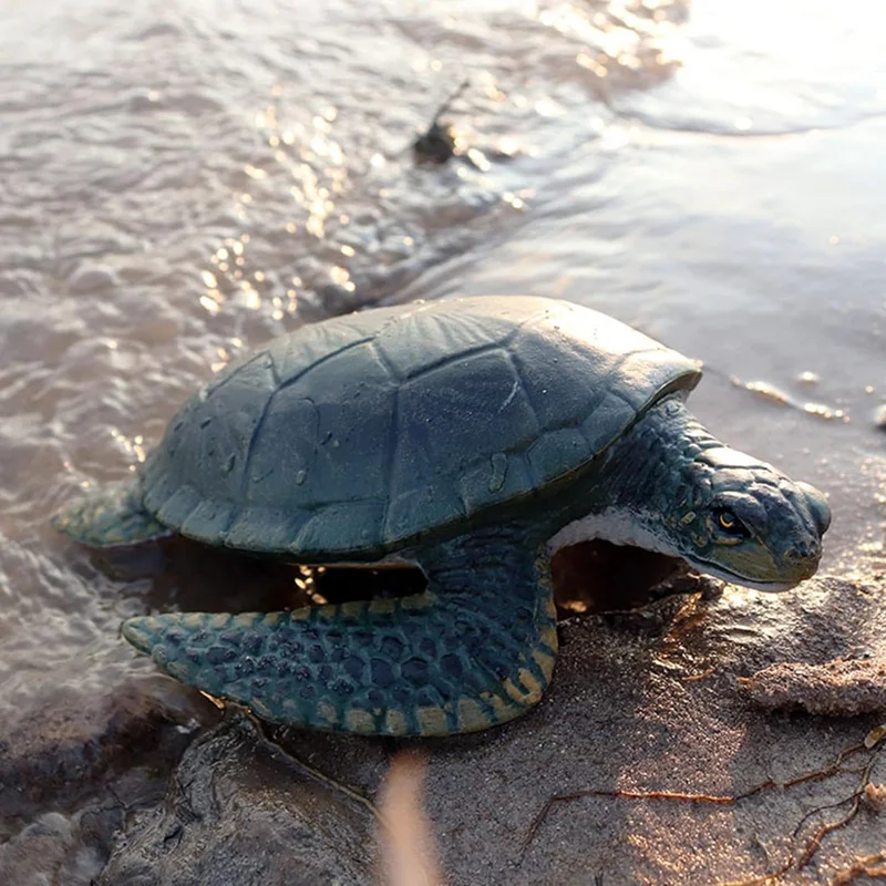 فیگور لاک پشت دریایی Garden Sea Turtle در کنار دریا