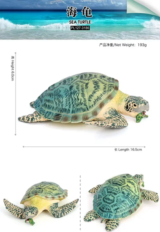 فیگور لاک پشت اقیانوسی Leatherback Tortoise Turtle ابعاد خط کشی شده