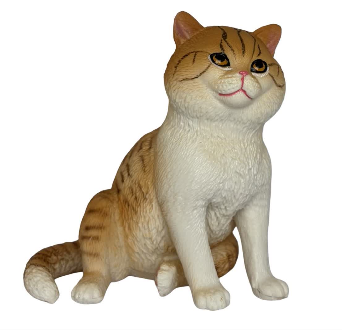 فیگور گربه مو کوتاه نارنجی Orange Shorthair Cat PL127-3624