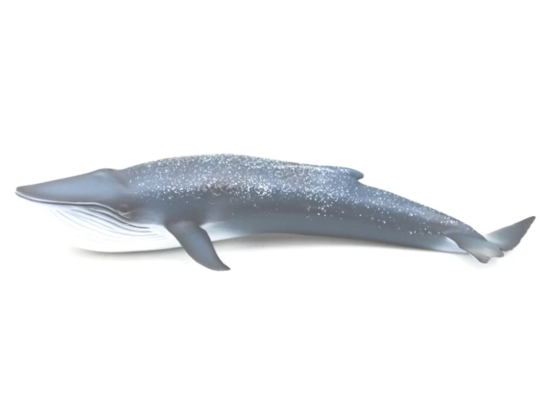 خرید فیگور موفان توی حیوان دریایی  فیگور «وال آبی رنگ نهنگ آبی» فیگور مدل واقعی حیوانات، مجسمه حیوان، مدل شبیه سازی شده حیوان Mofun Toy Blue Whale Simulation Model Animals figure M6001