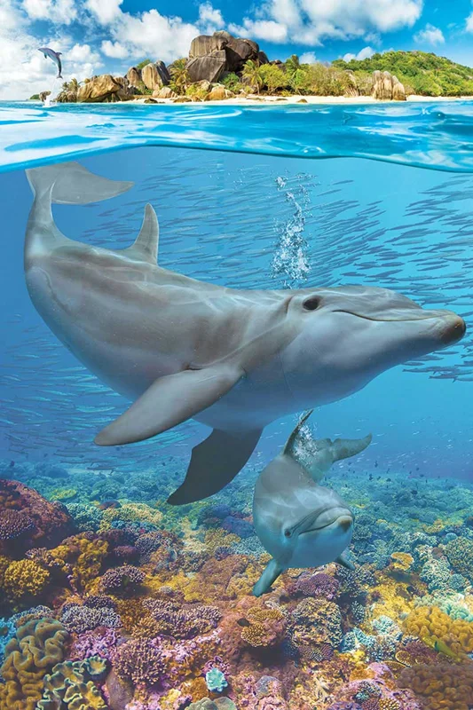 پازل یوروگرافیک 250 تکه «دلفین ها» Eurographics Puzzle Dolphins 250 pieces 8251-5560