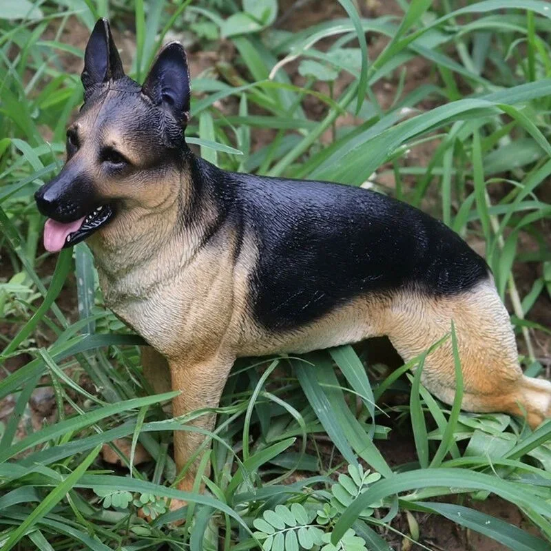 فیگور سگ ژرمن شپرد در محیط طبیعی German shepherd