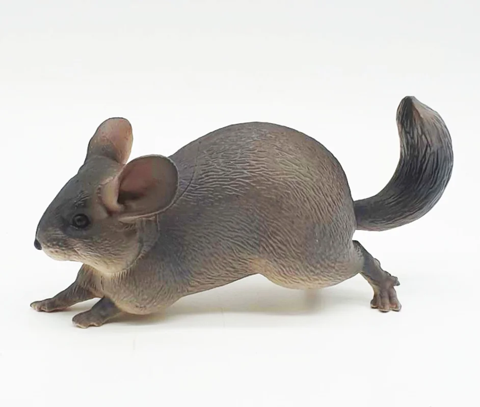 خرید فیگور «موش پوسوم» فیگور مدل واقعی حیوانات، مجسمه حیوان، مدل شبیه سازی شده حیوان  Possum Mouse Simulation model Animals figure PL127-1582