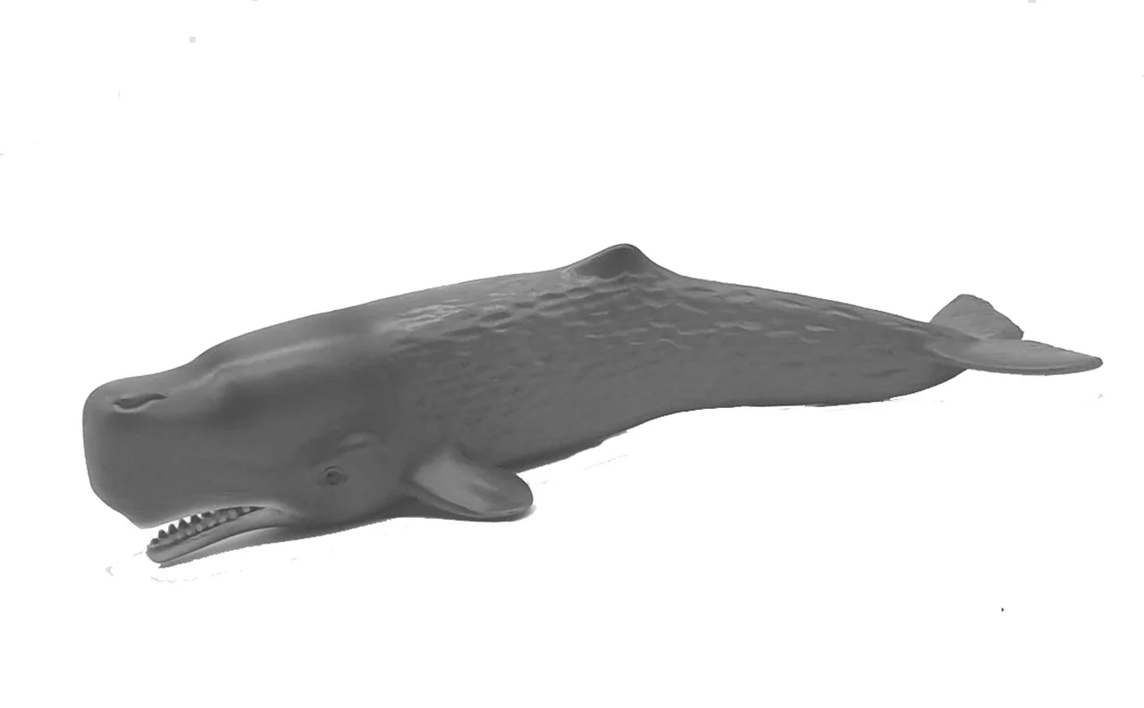 فیگور نهنگ عنبر یا وال اسپرم حیوانات، Mofun Toy Amber whale or Sperm Whale Animals figure M6003