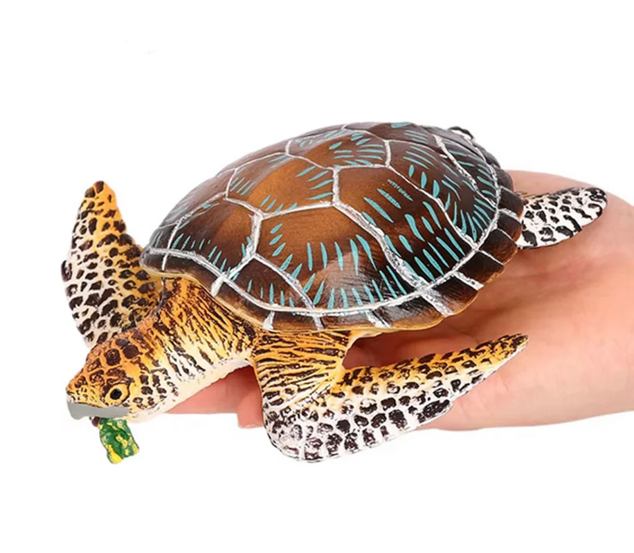 فیگور لاک پشت دریایی کولکولو در دست