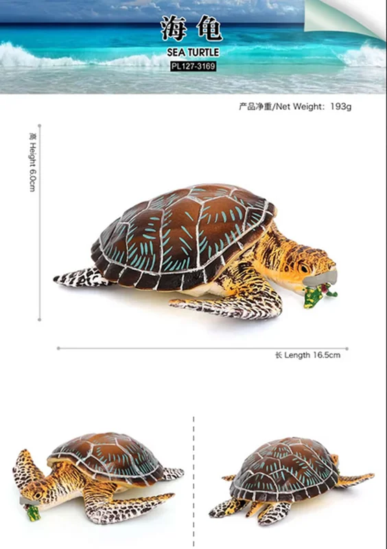 فیگور لاک پشت دریایی کولکولو  در تمامی نماها و حالات و اندازه